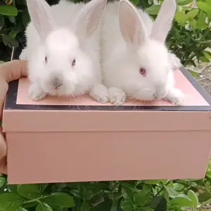 Харгушча 9км, Душанбе