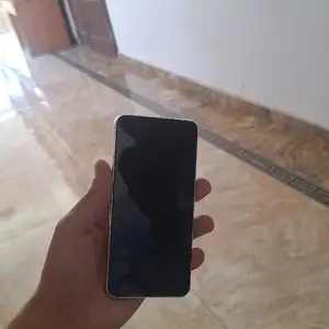 Samsung Galaxy S22, Дангара