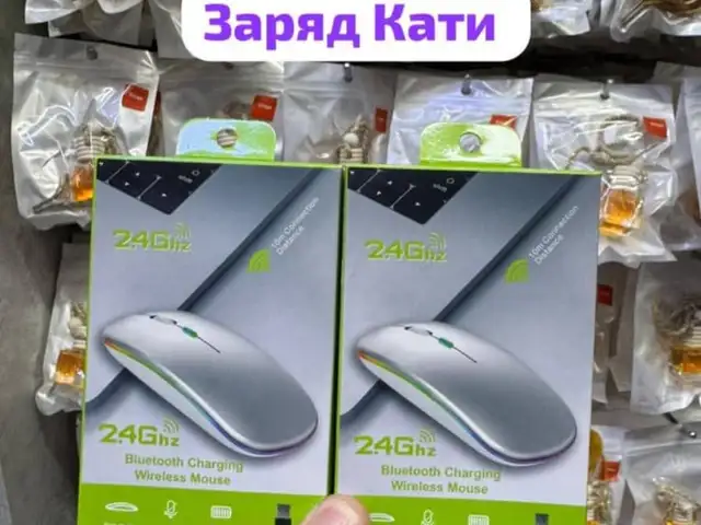 Мышь, Душанбе