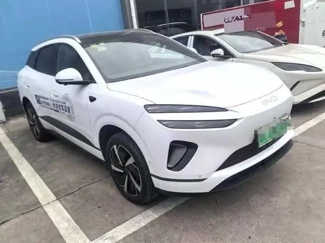 BYD Sea Lion 06