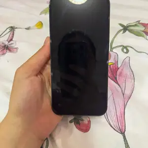 Apple iPhone 13 Pro Max, 256 gb, Sierra Blue, Конибодом