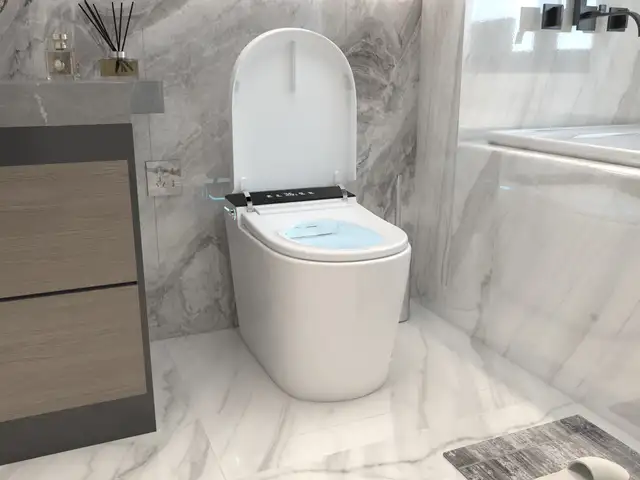 Умный унитаз, Душанбе