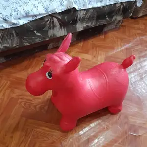 Осёл попрыгунчик, Душанбе