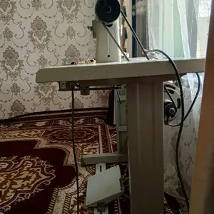Мошина ямата, Душанбе