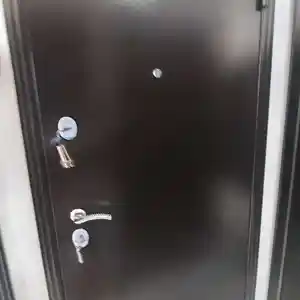 Железная дверь, Душанбе