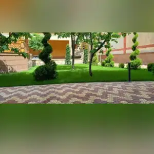 Газон, Худжанд