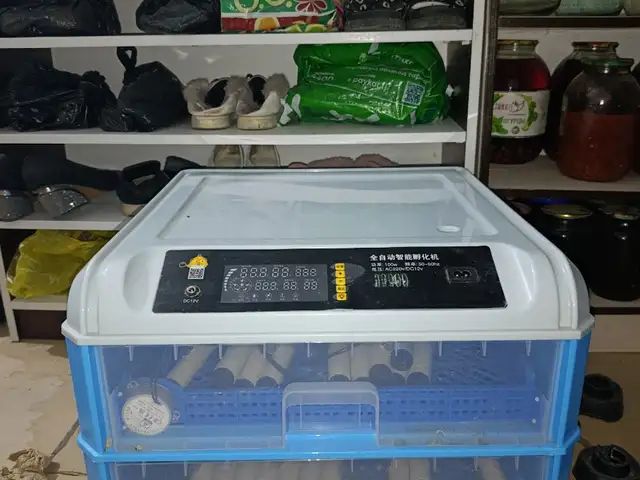 Инкубатор 320, Душанбе
