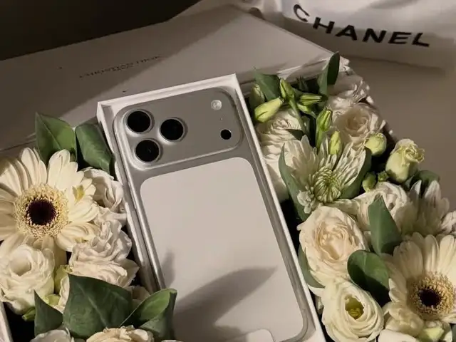 Apple iPhone 17 Pro Max, 512 gb, Cosmic Orange дубликат, Бохтар (Курган-Тюбе)