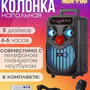 Портативные колонки NDR-P55 с микрофоном, Душанбе