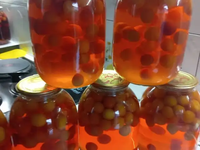 Компоти олучаи кухи, Хуҷанд