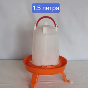 Поилка/Обхураки почадори мурғу чуҷа, Душанбе
