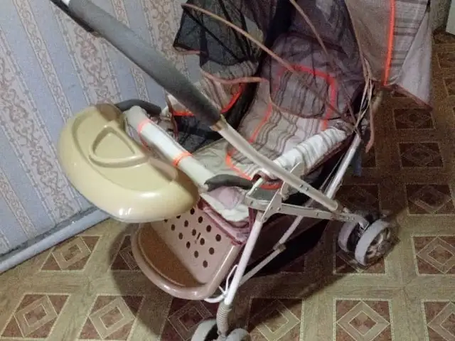 Коляска, Душанбе