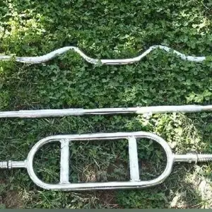 Гриф, Душанбе