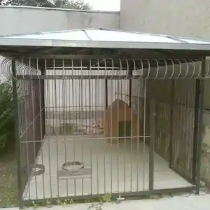 Вольер для собаки, Худжанд