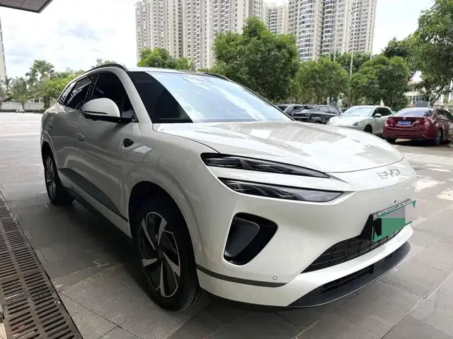 BYD Sea Lion 06