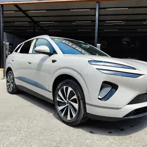 BYD Sea Lion 06