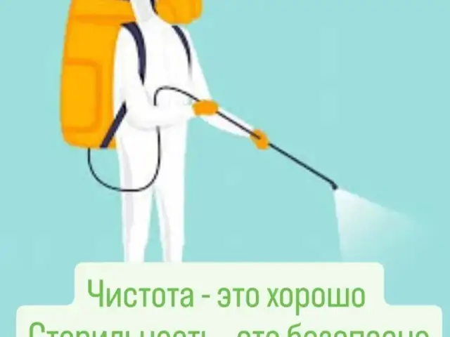 Услуги дезинсекторов, Худжанд