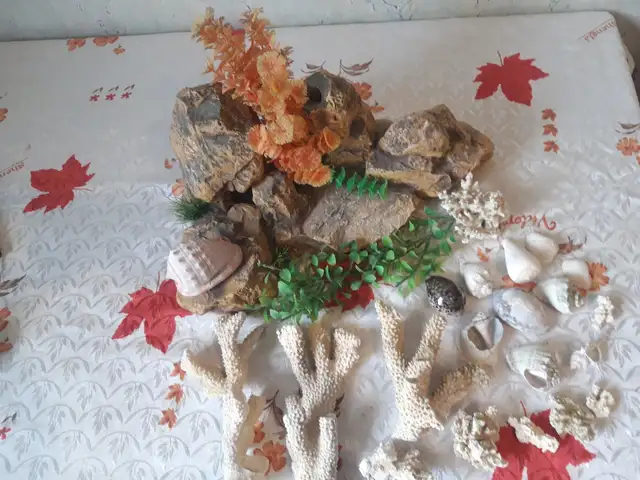 Аксессуары для аквариума, Бустон (Чкаловск)