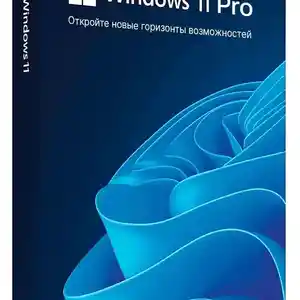 Лицензионный Windows 11 Pro, Душанбе