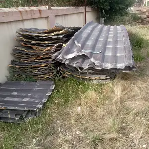 Тунука, Душанбе