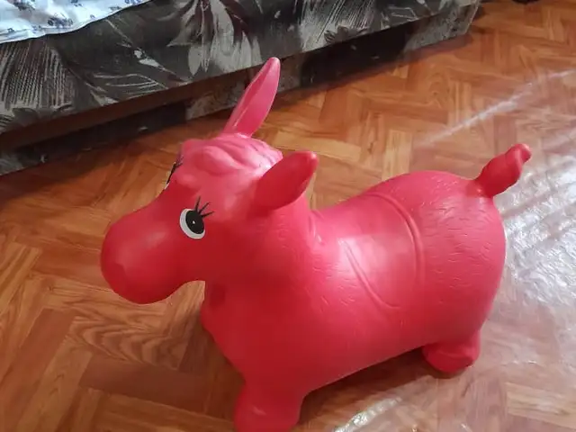 Осёл попрыгунчик, Душанбе