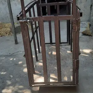Тарозу барои гусфанд, Худжанд