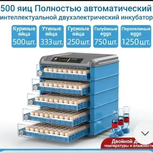 Инкубатор, Худжанд