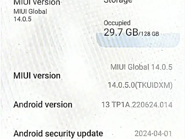 Xioami Redmi 10, Рашт