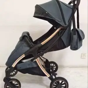 Коляска, Душанбе