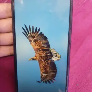 Xiaomi Редми 9А, Душанбе