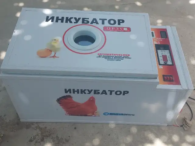 Инкубатор 70 штук, Бохтар (Курган-Тюбе)