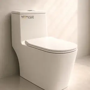 Унитаз, Душанбе