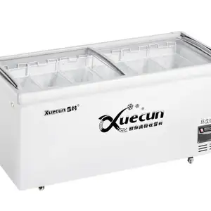 Морозильная камера SD/SC-2000RS, Худжанд