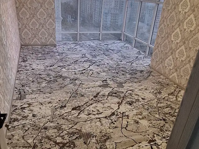 Ковер, Душанбе