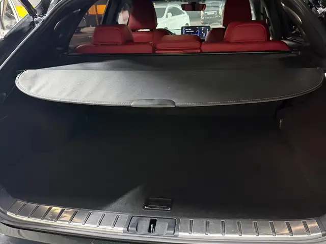 Lexus RX series, 2020, Душанбе - 6