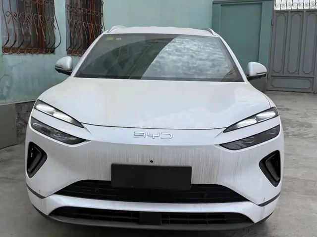 BYD Sea Lion 06