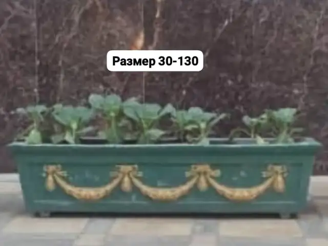 Гулдонҳои сангин, Душанбе
