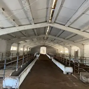 Птицеферма, Душанбе