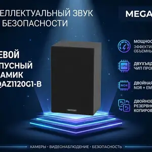 СЕТЕВОЙ КОРПУСНЫЙ ДИНАМИК DS-QAZ1120G1-B, Худжанд