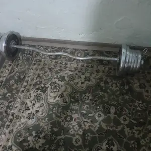 Гриф бо боинхояш, Душанбе