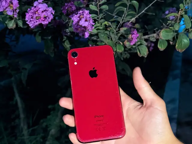 Apple iPhone Xr, 128 gb, Product Red, Худжанд