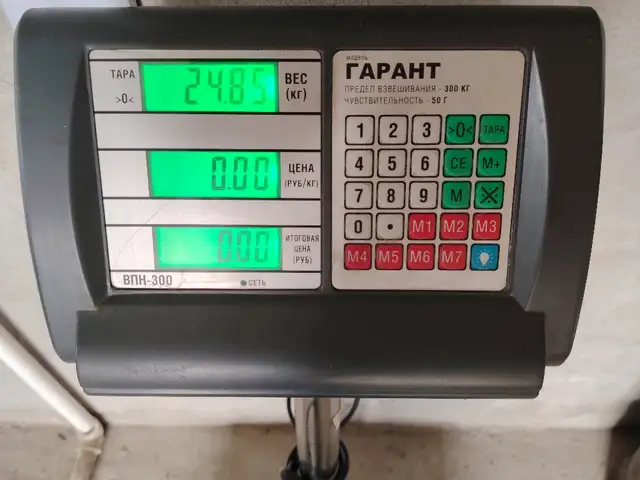 Тарозу 300 кг, Панҷакент
