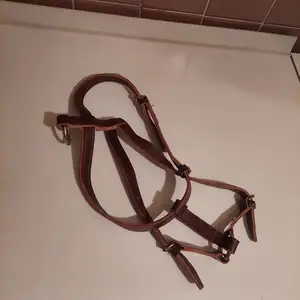 Шлейка для собаки кожаная, Душанбе