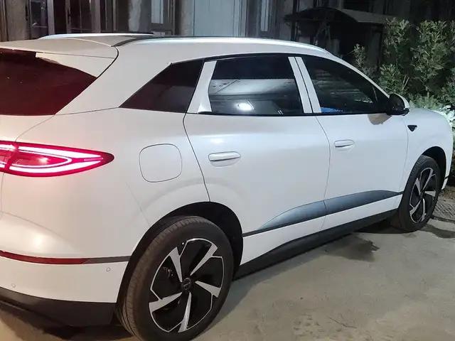 BYD Sea Lion 06