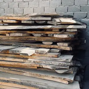 Чинор - чинар, Худжанд