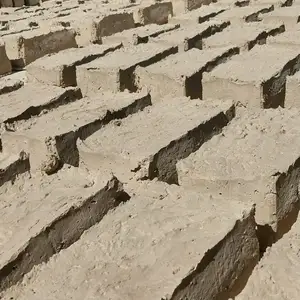 Гишти хом, Худжанд
