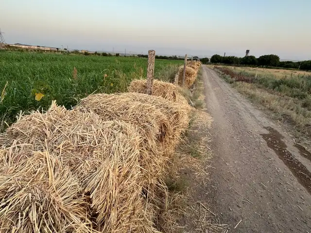 Прессованное сено, Худжанд