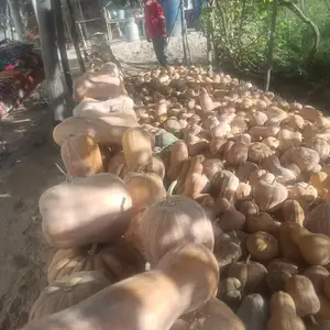 Каду, Абдураҳмони Ҷомӣ