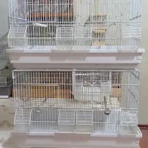Клетка для птиц, Душанбе