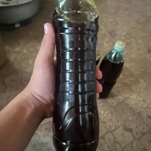 Равгани загер, Рӯдакӣ